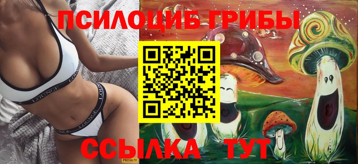 Химки  Псилоцибиновые грибы ЛСД  Галлюциногенные грибы GOLDEN TEACHER  Вход с VPN 