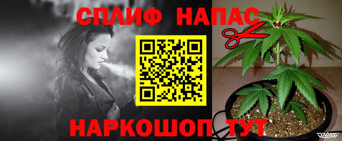 Каннабис план Химки